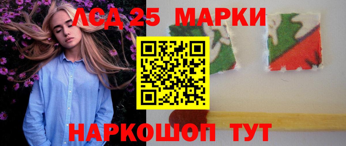 Альфа ПВП Кудрово