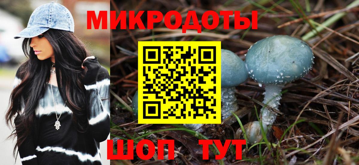 Галлюциногенные грибы Magic Shrooms  Вход с VPN  Кудрово 
