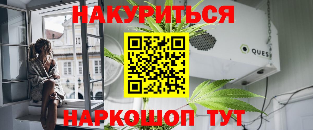 Кудрово  Шишки марихуана Amnesia  Вход с VPN  Бошки марихуана сатива 